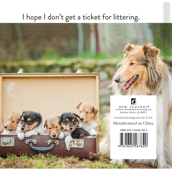 Animal Puns: Quack Me Up Book - Picture 2 of 7